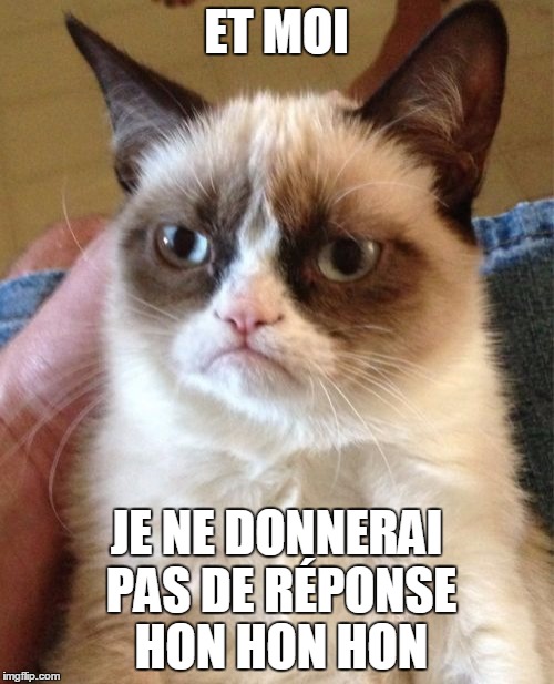 Grumpy Cat Meme | ET MOI JE NE DONNERAI PAS DE RÉPONSE HON HON HON | image tagged in memes,grumpy cat | made w/ Imgflip meme maker