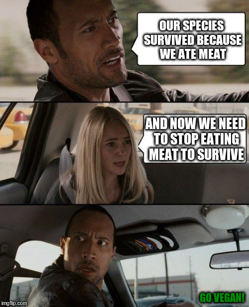 Our species survived because we ate meat | OUR SPECIES SURVIVED BECAUSE WE ATE MEAT; AND NOW WE NEED TO STOP EATING MEAT TO SURVIVE; GO VEGAN! | image tagged in memes,the rock driving,go vegan,vegan,meat | made w/ Imgflip meme maker