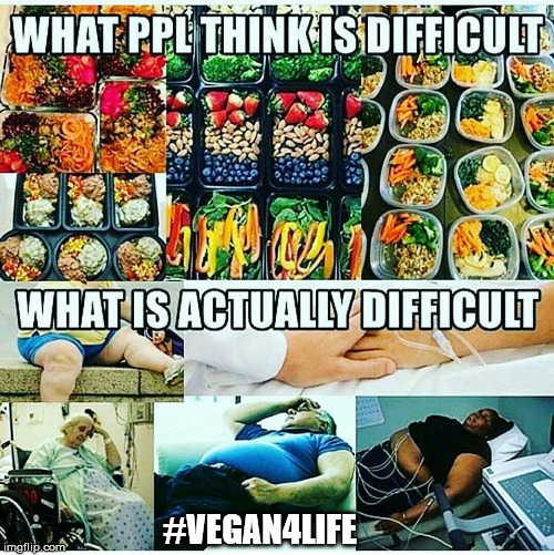 Becoming a vegan is not difficult. | #VEGAN4LIFE | image tagged in memes,funny memes,vegan,vegan4life,eating healthy | made w/ Imgflip meme maker