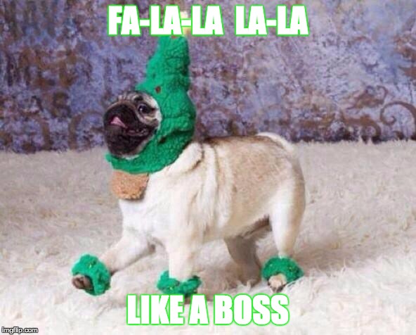 Christmas Dog | FA-LA-LA  LA-LA; LIKE A BOSS | image tagged in christmas dog | made w/ Imgflip meme maker