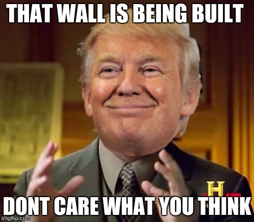 THAT WALL IS BEING BUILT; DONT CARE WHAT YOU THINK | image tagged in donald trump,political meme | made w/ Imgflip meme maker