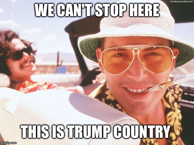 Fear and loathing | WE CAN'T STOP HERE; THIS IS TRUMP COUNTRY | image tagged in fear and loathing | made w/ Imgflip meme maker