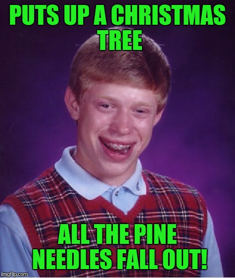 Bad Luck Brian Meme | PUTS UP A CHRISTMAS TREE; ALL THE PINE NEEDLES FALL OUT! | image tagged in memes,bad luck brian | made w/ Imgflip meme maker