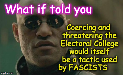 Matrix Morpheus | Coercing and threatening the Electoral College would itself be a tactic used by FASCISTS; What if told you | image tagged in memes,matrix morpheus | made w/ Imgflip meme maker