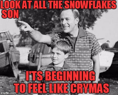 Snowflakes make a soft landing for Santa's sled.  | LOOK AT ALL THE SNOWFLAKES; SON; I'TS BEGINNING TO FEEL LIKE CRYMAS | image tagged in look son | made w/ Imgflip meme maker