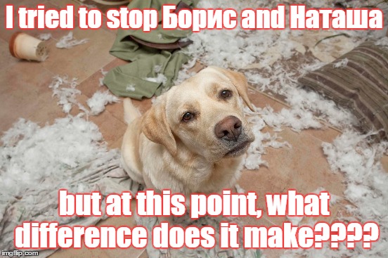 I tried to stop Борис and Наташа; but at this point, what difference does it make???? | image tagged in bad dog | made w/ Imgflip meme maker