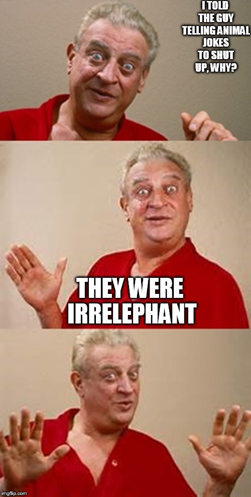 resizing text on phones is very hard. | I TOLD THE GUY TELLING ANIMAL JOKES TO SHUT UP, WHY? THEY WERE IRRELEPHANT | image tagged in bad pun dangerfield | made w/ Imgflip meme maker