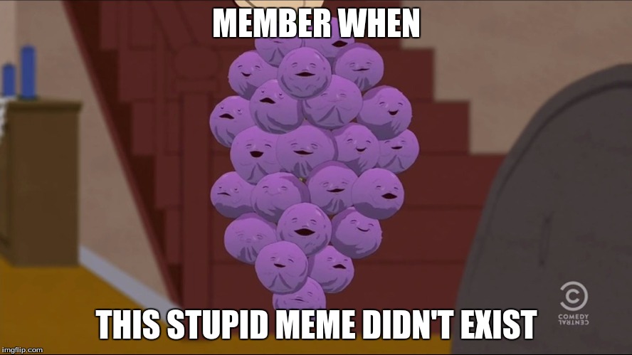 Member Berries Meme | MEMBER WHEN; THIS STUPID MEME DIDN'T EXIST | image tagged in memes,member berries | made w/ Imgflip meme maker