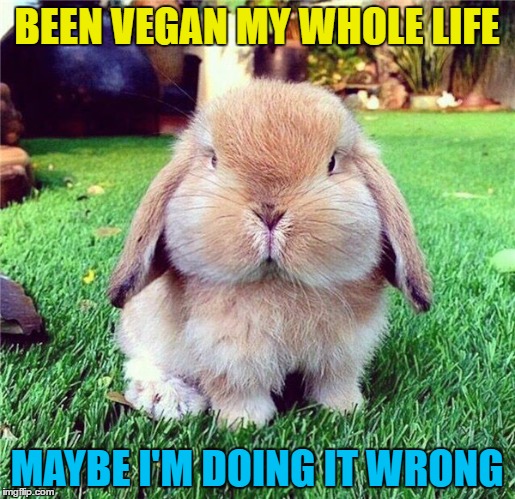 BEEN VEGAN MY WHOLE LIFE MAYBE I'M DOING IT WRONG | made w/ Imgflip meme maker