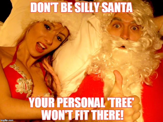 DON'T BE SILLY SANTA YOUR PERSONAL 'TREE' WON'T FIT THERE! | made w/ Imgflip meme maker