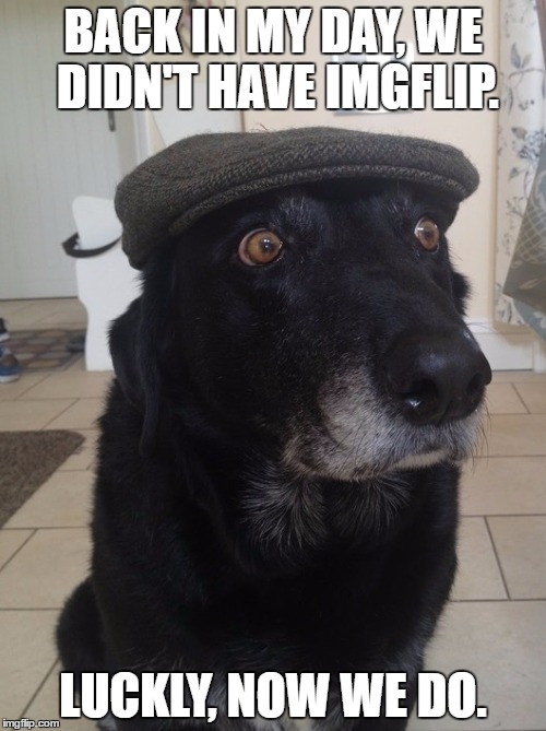 Back In My Day Dog | BACK IN MY DAY, WE DIDN'T HAVE IMGFLIP. LUCKLY, NOW WE DO. | image tagged in back in my day dog | made w/ Imgflip meme maker