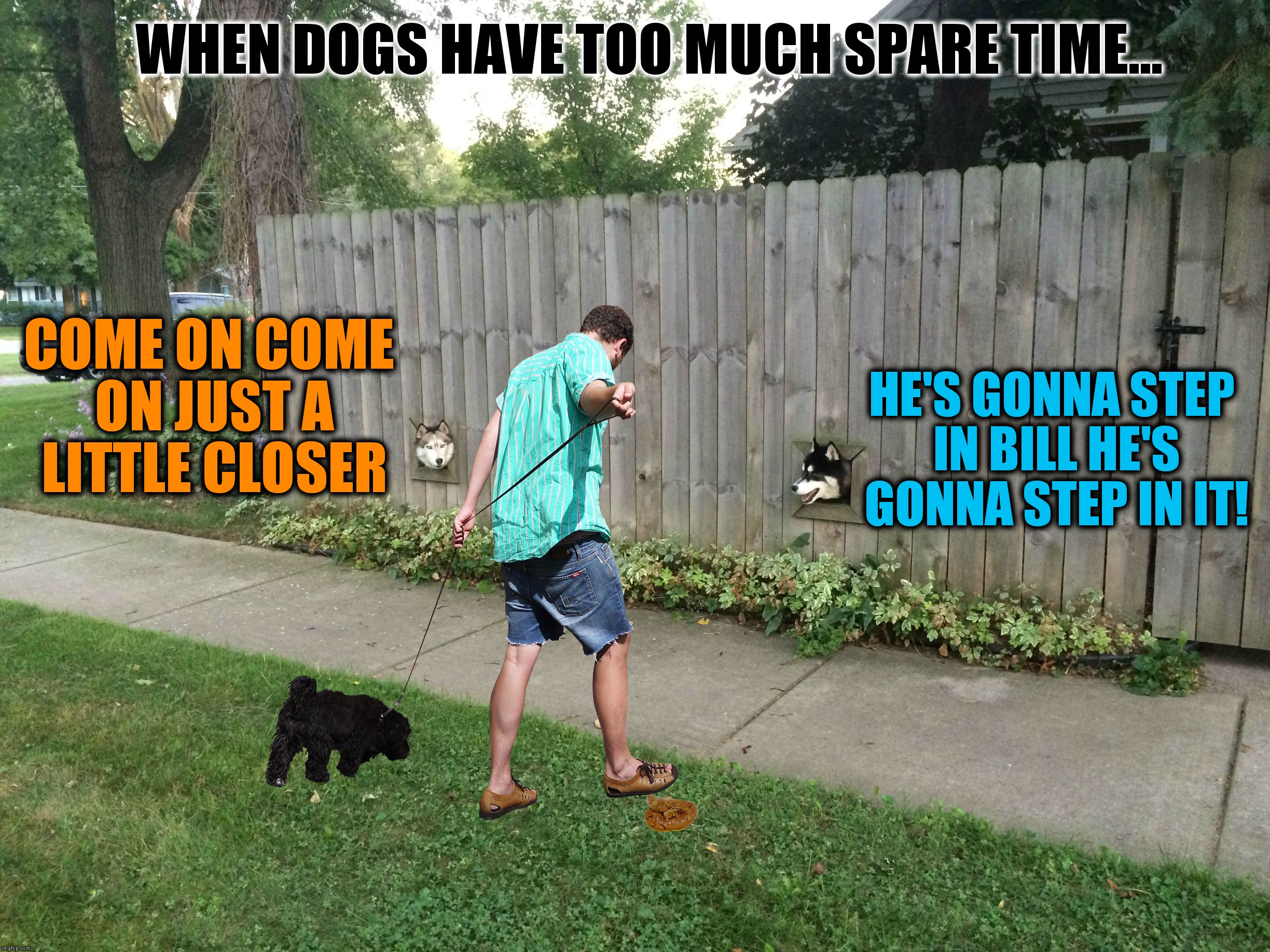 Sometimes it's best to stay on the sidewalk. | WHEN DOGS HAVE TOO MUCH SPARE TIME... COME ON COME ON JUST A LITTLE CLOSER; HE'S GONNA STEP IN BILL HE'S GONNA STEP IN IT! | image tagged in watch dogs,impracticaljokers | made w/ Imgflip meme maker