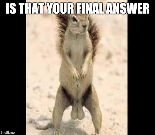 IS THAT YOUR FINAL ANSWER | made w/ Imgflip meme maker