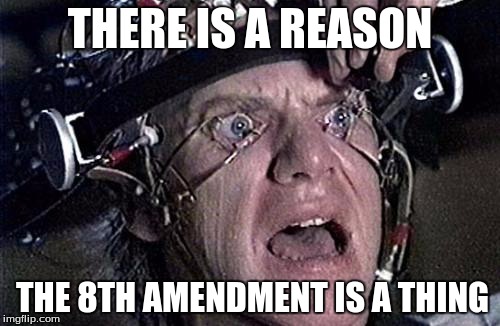 THERE IS A REASON; THE 8TH AMENDMENT IS A THING | image tagged in 8th | made w/ Imgflip meme maker