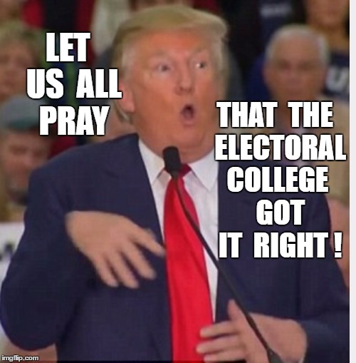 electoral college   | LET  US  ALL  PRAY; THAT  THE  ELECTORAL COLLEGE  GOT  IT  RIGHT ! | image tagged in donald trump tho,not my prez | made w/ Imgflip meme maker