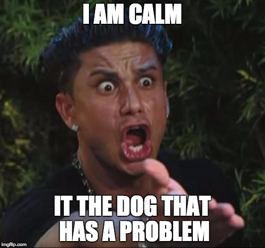 DJ Pauly D Meme | I AM CALM; IT THE DOG THAT HAS A PROBLEM | image tagged in memes,dj pauly d | made w/ Imgflip meme maker