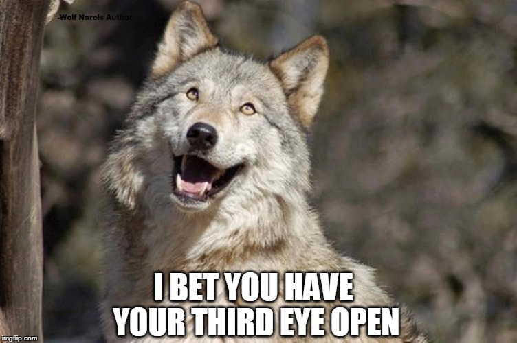 Optimistic Moon Moon Wolf Vanadium Wolf | I BET YOU HAVE YOUR THIRD EYE OPEN | image tagged in optimistic moon moon wolf vanadium wolf | made w/ Imgflip meme maker