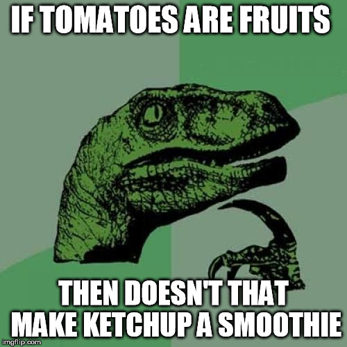 Philosoraptor Meme | IF TOMATOES ARE FRUITS; THEN DOESN'T THAT MAKE KETCHUP A SMOOTHIE | image tagged in memes,philosoraptor | made w/ Imgflip meme maker