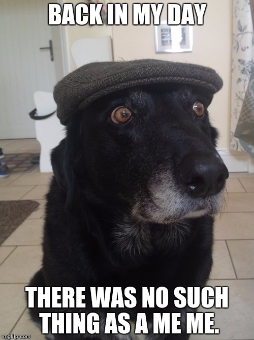 Back In My Day Dog | BACK IN MY DAY; THERE WAS NO SUCH THING AS A ME ME. | image tagged in back in my day dog | made w/ Imgflip meme maker