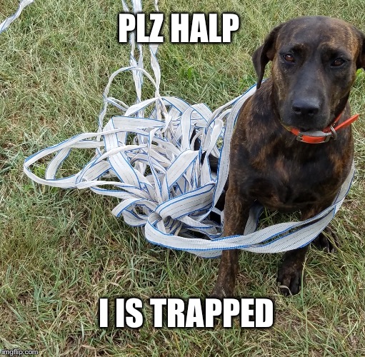 PLZ HALP; I IS TRAPPED | image tagged in halp | made w/ Imgflip meme maker