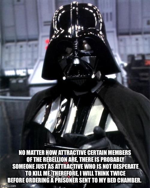 Memoirs of Darth Vader | NO MATTER HOW ATTRACTIVE CERTAIN MEMBERS OF THE REBELLION ARE, THERE IS PROBABLY SOMEONE JUST AS ATTRACTIVE WHO IS NOT DESPERATE TO KILL ME. THEREFORE, I WILL THINK TWICE BEFORE ORDERING A PRISONER SENT TO MY BED CHAMBER. | image tagged in darth vader,memes | made w/ Imgflip meme maker