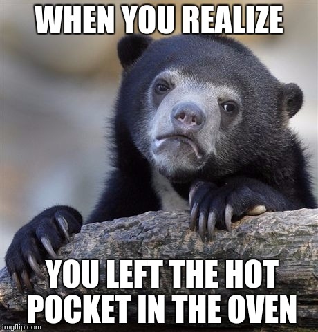 hot pocket | WHEN YOU REALIZE; YOU LEFT THE HOT POCKET IN THE OVEN | image tagged in memes,confession bear | made w/ Imgflip meme maker