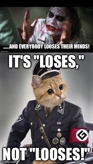 image tagged in mind loss joker vs grammar nazi cat | made w/ Imgflip meme maker