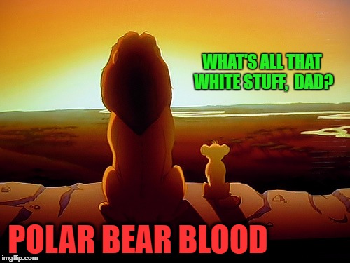 WHAT'S ALL THAT WHITE STUFF,  DAD? POLAR BEAR BLOOD | made w/ Imgflip meme maker