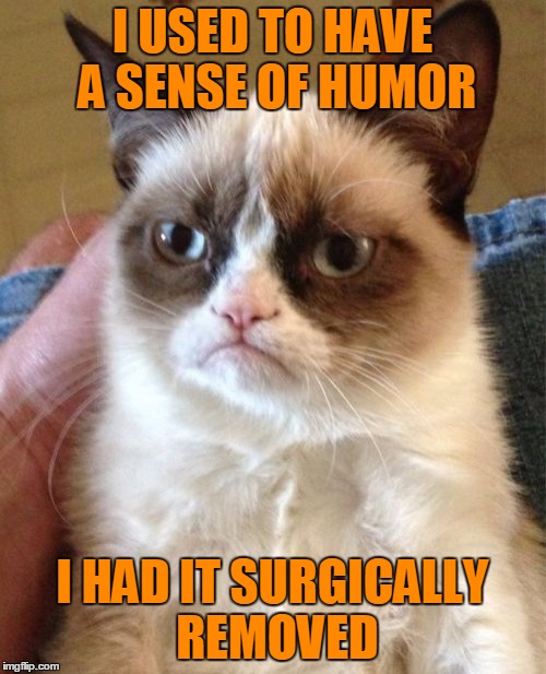 Grumpy Cat Meme | I USED TO HAVE A SENSE OF HUMOR I HAD IT SURGICALLY REMOVED | image tagged in memes,grumpy cat | made w/ Imgflip meme maker