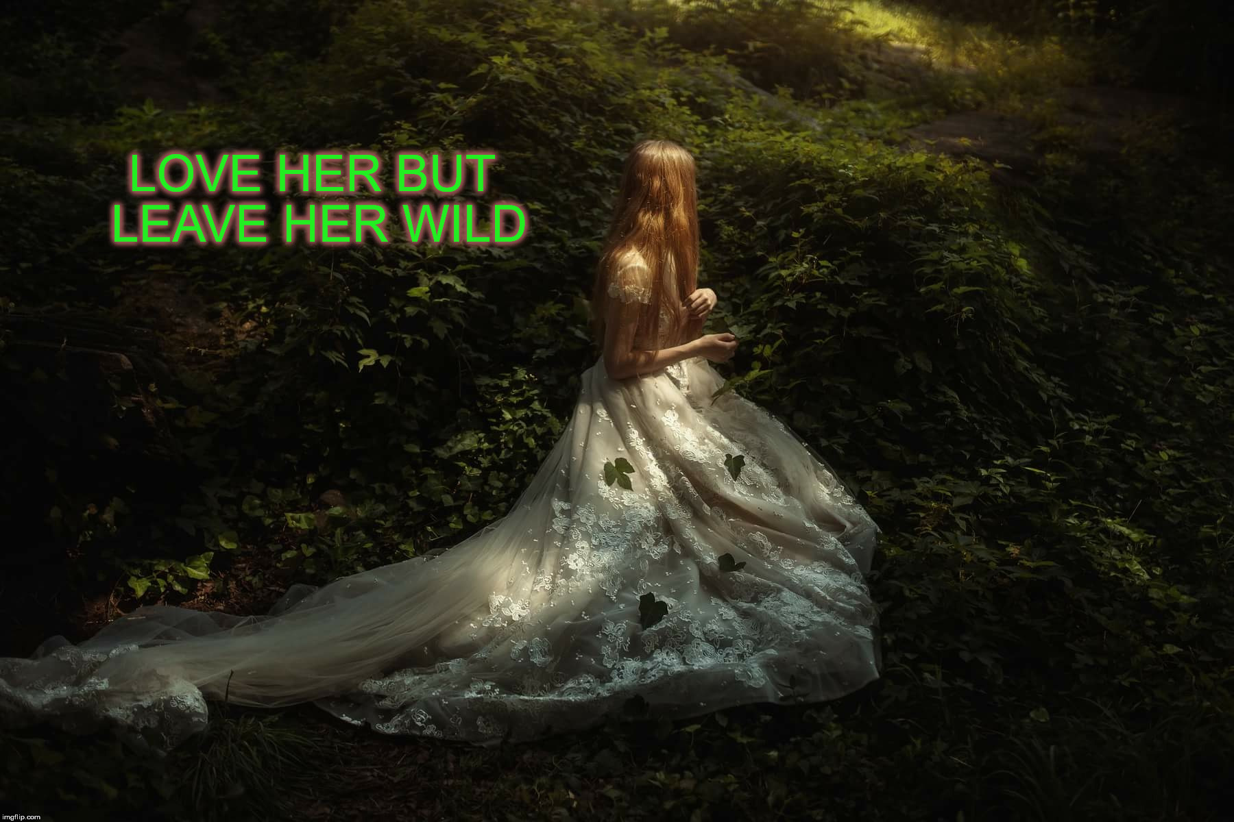 LOVE HER BUT LEAVE HER WILD | image tagged in nature | made w/ Imgflip meme maker
