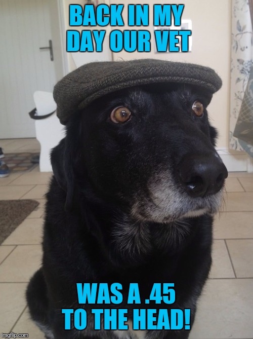 Back In My Day Dog | BACK IN MY DAY OUR VET; WAS A .45 TO THE HEAD! | image tagged in back in my day dog | made w/ Imgflip meme maker