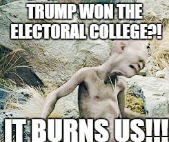 TRUMP WON THE ELECTORAL COLLEGE?! IT BURNS US!!! | image tagged in donald trump | made w/ Imgflip meme maker