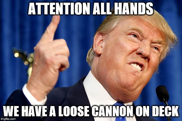 Donald Trump | ATTENTION ALL HANDS; WE HAVE A LOOSE CANNON ON DECK | image tagged in donald trump | made w/ Imgflip meme maker