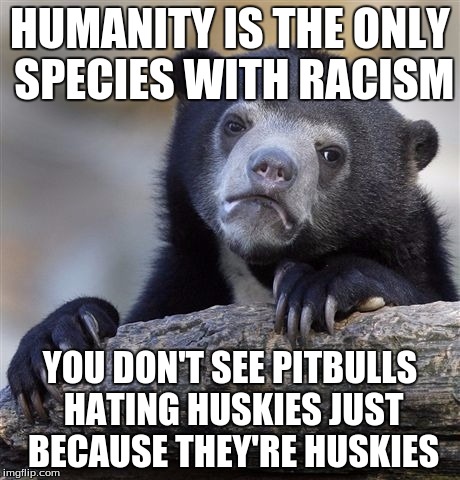 We should be more like dogs | HUMANITY IS THE ONLY SPECIES WITH RACISM; YOU DON'T SEE PITBULLS HATING HUSKIES JUST BECAUSE THEY'RE HUSKIES | image tagged in memes,confession bear | made w/ Imgflip meme maker
