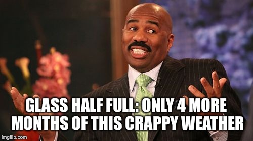 GLASS HALF FULL: ONLY 4 MORE MONTHS OF THIS CRAPPY WEATHER | image tagged in memes,steve harvey | made w/ Imgflip meme maker