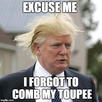 Donald Trump | EXCUSE ME; I FORGOT TO COMB MY TOUPEE | image tagged in donald trump | made w/ Imgflip meme maker