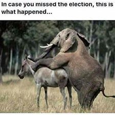 High Quality donkey fucked Blank Meme Template