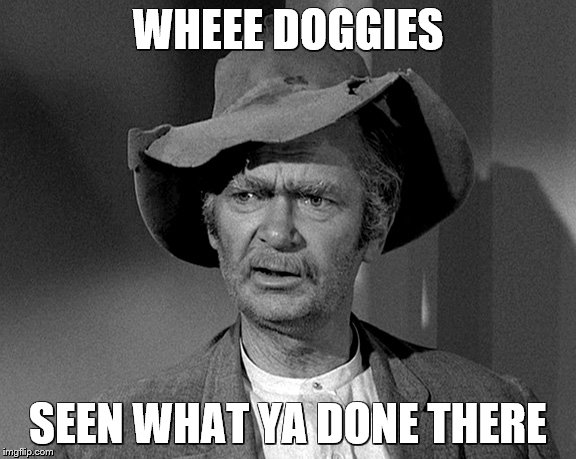 Jed Clampett | WHEEE DOGGIES SEEN WHAT YA DONE THERE | image tagged in jed clampett | made w/ Imgflip meme maker