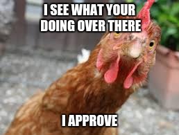 nosey chicken | I SEE WHAT YOUR DOING OVER THERE; I APPROVE | image tagged in chicken | made w/ Imgflip meme maker