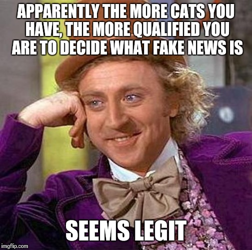 Creepy Condescending Wonka | APPARENTLY THE MORE CATS YOU HAVE, THE MORE QUALIFIED YOU ARE TO DECIDE WHAT FAKE NEWS IS; SEEMS LEGIT | image tagged in memes,creepy condescending wonka | made w/ Imgflip meme maker