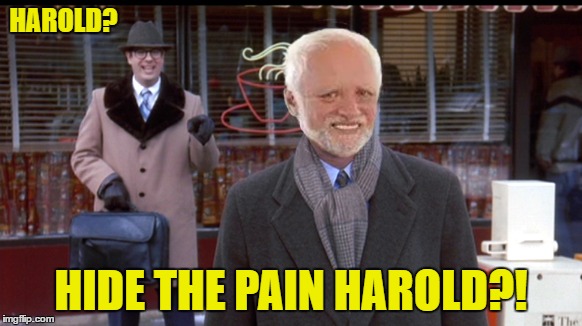 HAROLD? HIDE THE PAIN HAROLD?! | made w/ Imgflip meme maker