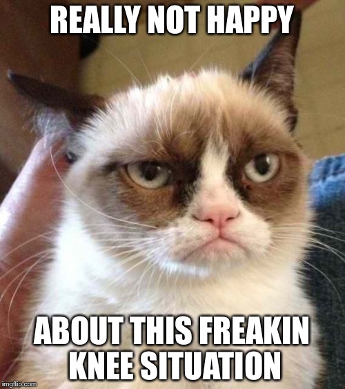 Grumpy Cat Reverse Meme | REALLY NOT HAPPY; ABOUT THIS FREAKIN KNEE SITUATION | image tagged in memes,grumpy cat reverse,grumpy cat | made w/ Imgflip meme maker