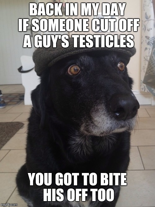 Back In My Day Dog | BACK IN MY DAY IF SOMEONE CUT OFF A GUY'S TESTICLES; YOU GOT TO BITE HIS OFF TOO | image tagged in back in my day dog,memes | made w/ Imgflip meme maker