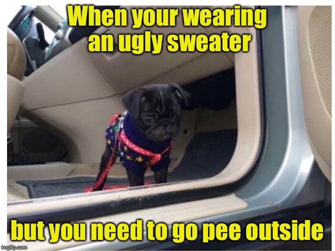 Ugly sweater | When your wearing an ugly sweater; but you need to go pee outside | image tagged in sweater | made w/ Imgflip meme maker