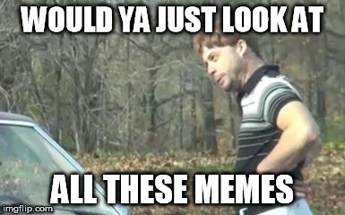 ed bassmaster would y alook at that |  WOULD YA JUST LOOK AT; ALL THESE MEMES | image tagged in ed bassmaster would y alook at that | made w/ Imgflip meme maker