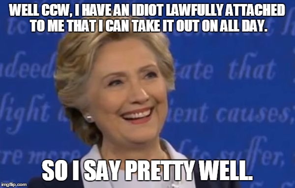 hillary smile | WELL CCW, I HAVE AN IDIOT LAWFULLY ATTACHED TO ME THAT I CAN TAKE IT OUT ON ALL DAY. SO I SAY PRETTY WELL. | image tagged in hillary smile | made w/ Imgflip meme maker