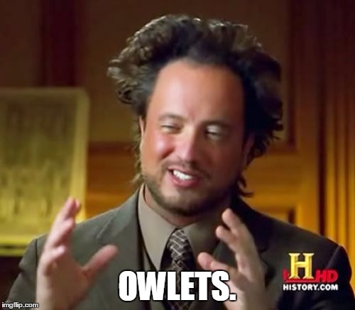 Ancient Aliens Meme | OWLETS. | image tagged in memes,ancient aliens | made w/ Imgflip meme maker