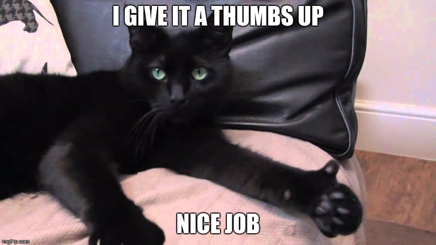 thumbs up cat | I GIVE IT A THUMBS UP NICE JOB | image tagged in thumbs up cat | made w/ Imgflip meme maker