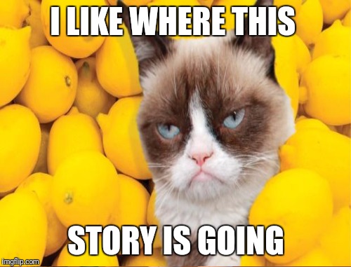 I LIKE WHERE THIS STORY IS GOING | made w/ Imgflip meme maker
