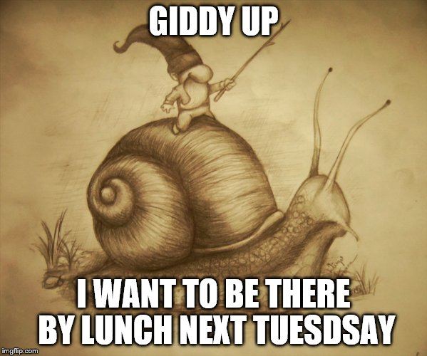 GIDDY UP I WANT TO BE THERE BY LUNCH NEXT TUESDSAY | made w/ Imgflip meme maker